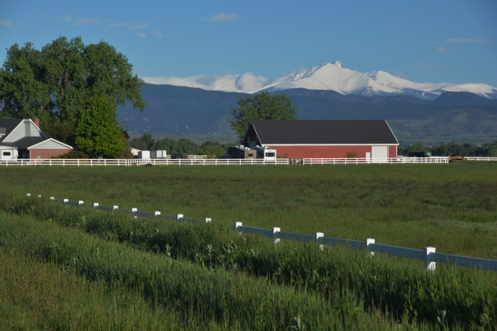 barn scene